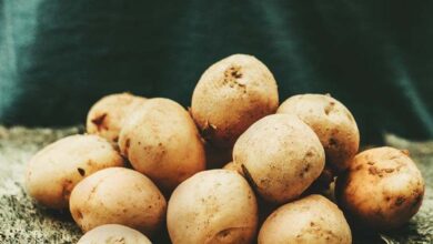 Photo of Growing Potatoes: A Beginner’s Guide to Growing Big, Healthy Potatoes