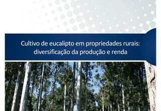 Photo of Guia de plantação de sucessões: Maximize o rendimento do seu jardim durante todo o ano