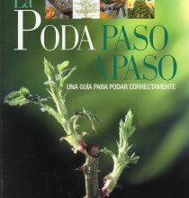 Photo of Guia de Poda de Plantas Domésticas