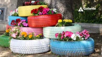 Photo of Guia para o uso de vasos, vasos e jardineiras