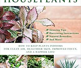 Photo of Healing Houseplants