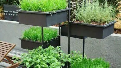 Photo of Herb Garden Designs – Diferentes maneiras de desenhar um Jardim de Ervas
