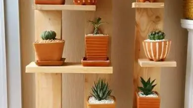 Photo of Ideias para stands de plantas de interior