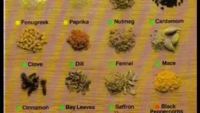 Photo of Indian Herbs and Spices – Dicas para Cultivar um Jardim de Ervas Indianas