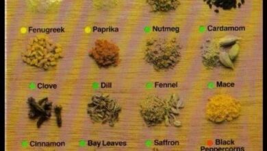 Photo of Indian Herbs and Spices – Dicas para Cultivar um Jardim de Ervas Indianas