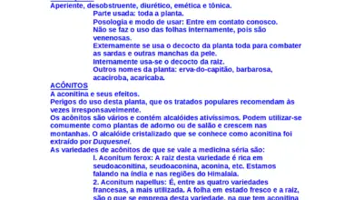 Photo of Informações sobre o manjericão da Rainha do Sião : Mais informações sobre os cuidados do manjericão «Rainha do Sião