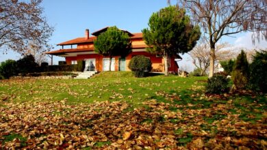 Photo of Jardinagem de Outono: Como planear e começar um jardim de Outono na altura certa