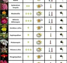 Photo of Jardinagem nas zonas 1 e 2: dicas essenciais e uma lista de plantas que você pode cultivar