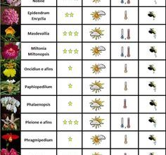 Photo of Jardinagem nas zonas 1 e 2: dicas essenciais e uma lista de plantas que você pode cultivar