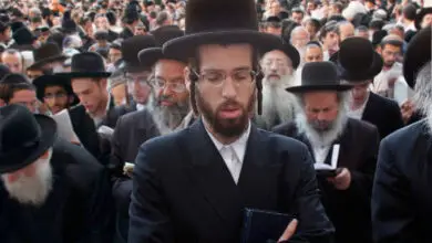 Photo of judeu comum
