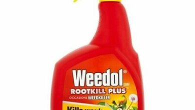 Photo of Livre-se de ervas daninhas com o Weedol RootKILL Plus