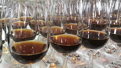 Photo of Manutenção de rolhas de vinho – Aconselhamento sobre o cultivo de cogumelos de cortiça para vinho
