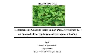 Photo of Molde no feijão – Uma solução para as doenças comuns das plantas do feijão