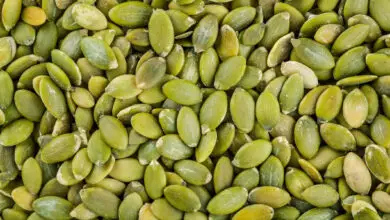 Photo of Nutrição das sementes de abóbora: Como colher sementes de abóbora para a alimentação