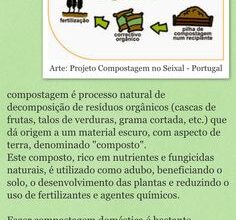 Photo of O guia essencial para fazer chá de compostagem (e 4 receitas para experimentar)