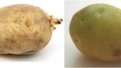 Photo of O que é a edulcoração a frio – Como evitar a edulcoração a frio das batatas