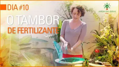 Photo of O que fazer com o fertilizante: 88 coisas do dia-a-dia para fazer compostagem (e 9 coisas para não fazer compostagem)