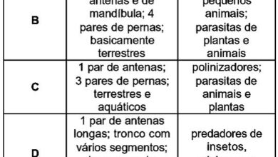 Photo of O que são brânquias vegetais, sua importância ecológica e controle?