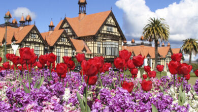 Photo of Os melhores jardins públicos a visitar na Primavera ou no Verão