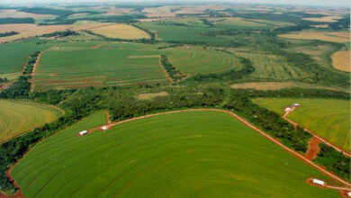 Photo of Plano de fazenda de um hectare: isto é o que plantar, criar e construir em um pedaço de terra menor.