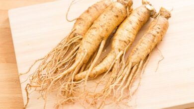 Photo of Plantas de Ginseng Simulado Selvagem: Como Cultivar Ginseng Simulado Selvagem