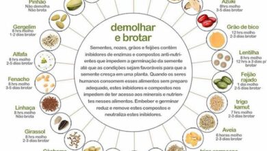 Photo of Porque é bom embeber as sementes