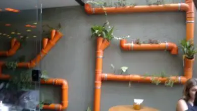 Photo of Projetos com tubos de PVC para o jardim