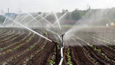 Photo of Que água é necessária para a irrigação?