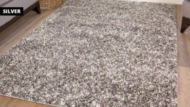 Photo of Raoulia australis Silver Carpet, Sheepskin