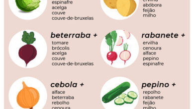 Photo of Razões para combinar frutas e legumes na horta