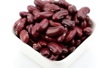 Photo of Red Bean Care – Aprenda a cultivar feijão vermelho