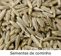 Photo of Semear sementes de cominho – Dicas para semear sementes de cominho