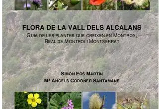 Photo of Soins de la plante Phlomis fruticosa, Salvia Amarilla ou Flomis
