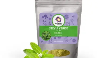 Photo of Stevia rebaudiana Erva de açúcar, Cânhamo de água, Stevia