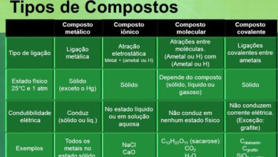 Photo of Tipos de composto