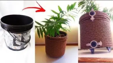 Photo of Tipos de vasos : Como utilizar uma tampa de vaso de plantas
