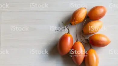 Photo of Tomate arboreal, Tamarillo