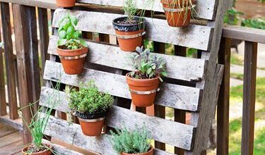 Photo of Top 8 Garden Pallet Magazine: Ferramentas de jardinagem versáteis e muito mais