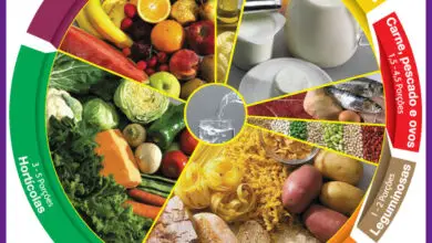 Photo of Top 8 revistas de alimentos vegetais: a fórmula para uma colheita abundante e saudável