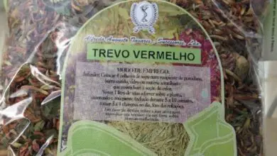 Photo of Trevo Vermelho, Trevo Vermelho
