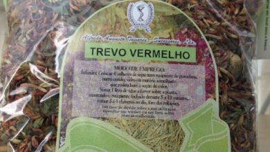 Photo of Trevo Vermelho, Trevo Vermelho