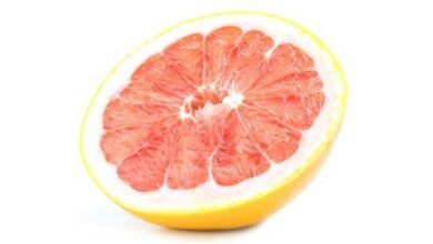 Photo of Tudo sobre os cuidados com toranjas
