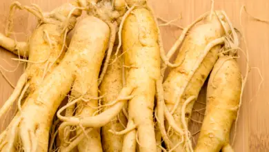 Photo of Usos comuns do Ginseng: Para que é utilizado o Ginseng