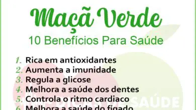 Photo of Usos da Maçã-Menta: informação e conselhos para o cultivo de plantas de maçã-menta