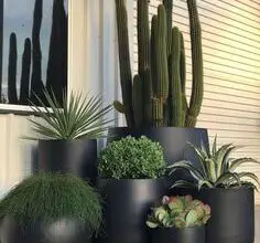 Photo of vasos e plantas em vasos