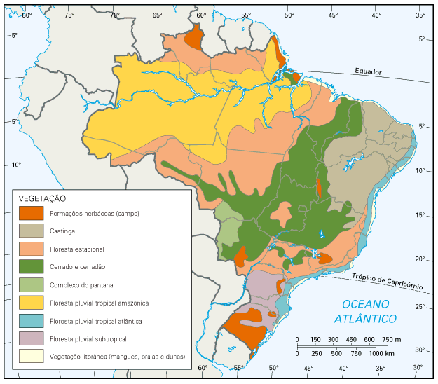 Photo of Vegetais de clima quente: Vegetais em crescimento nas regiões do Sul