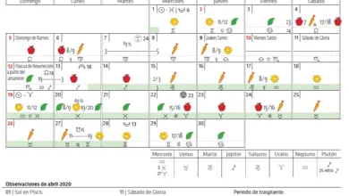 Photo of Calendário agrícola em Abril