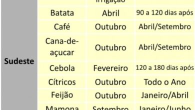 Photo of Calendário agrícola em Janeiro