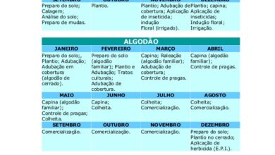 Photo of Calendário agrícola em Março