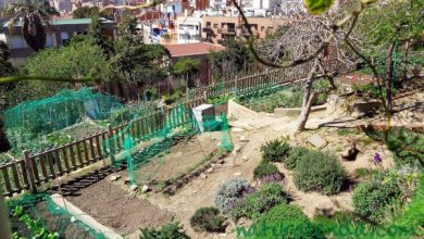 Photo of Jardins em Barcelona: jardins da comunidade e escola